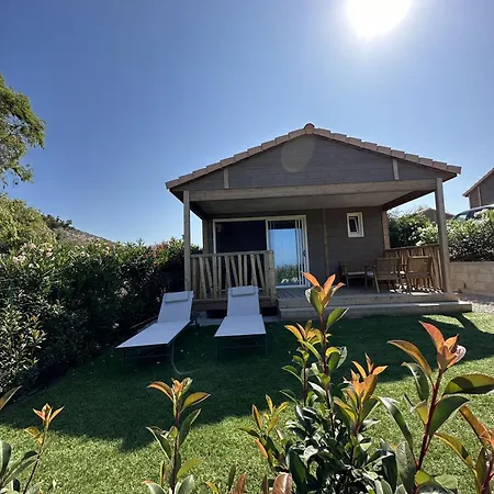 Les Collines De Lava