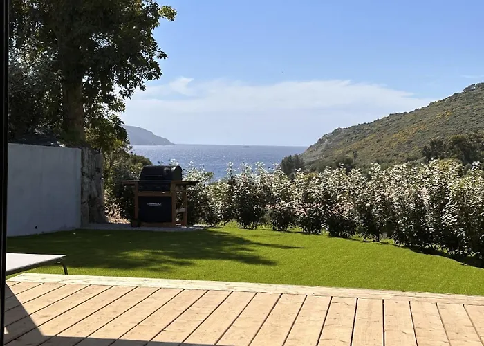 Les Collines De Lava