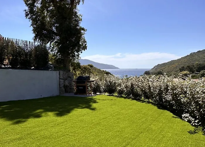 Les Collines De Lava Appietto