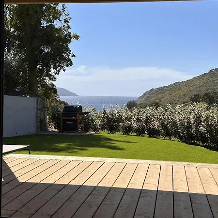 Les Collines De Lava