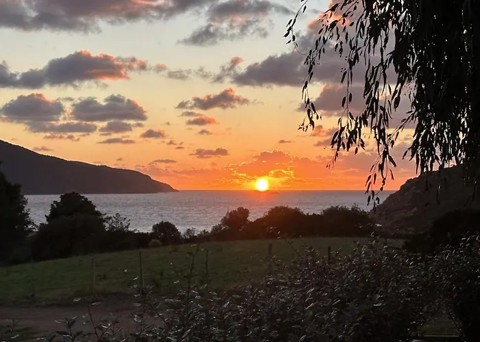 Les Collines De Lava * Appietto